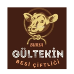 Gultekin